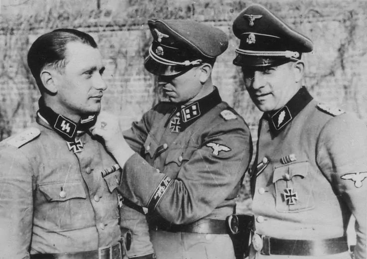 Original WWII German Waffen SS EM/NCO'S SLEEVE EAGLE. (SS-Ärmelhoheitsabzeichen) Brought Home By A U.S. Veteran Certified — image 5