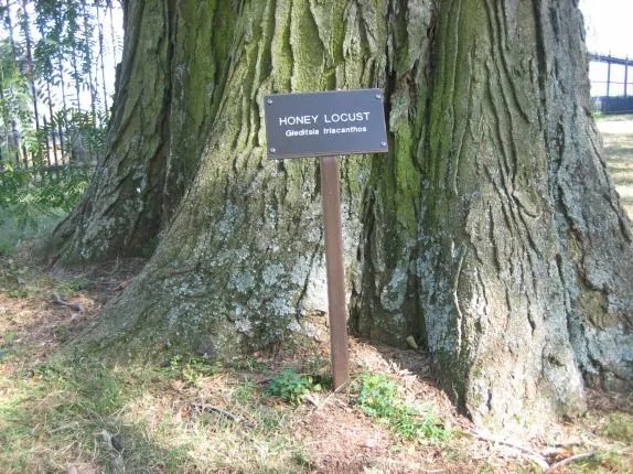 Lincoln's Gettysburg Address Historic Witness Wood And Authentic Bullet Display In Collector's Glass Case — image 8