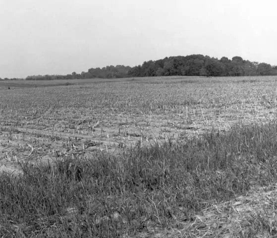 Authentic Civil War Musket Ball Recovered At Miller's Corn Field Antietam Recovered By Dean Thomas — image 5