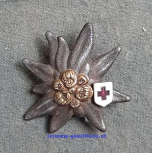 k.u.k. Kappenabzeichen Edelweiss - 'Rotes Kreuz' !!