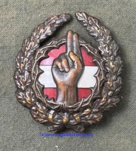 Bronzenes Ehrenzeichen des Österreichischen Freiheitsbundes! - 1. Republik!