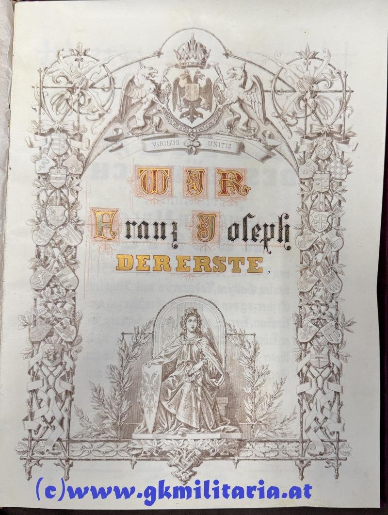 k.u.k. Adels-Diplom Alois Ritter von DESSARY - 1870!! — image 3