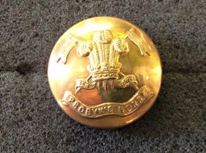 WW2 5th King Edwards Own 'Probyns Horse' large button