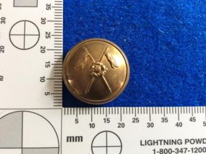 1st Duke Of York's Own Skinner's Horse Officers Button