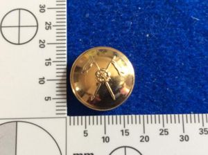 1st Duke Of York's Own Skinner's Horse Gilt Button