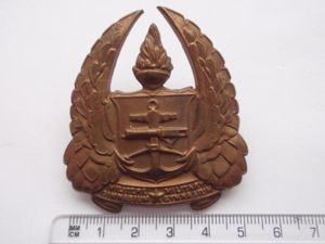 South African Army Gymnasium Cap Badge