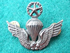 South Korean Master Para Wings