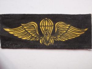 Indonesian Police Para Wings