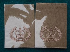 Desert DPM W.O Rank Slides