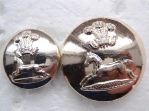 Anodised The Prince of Wales's Own Regt of Yorkshire