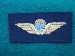 Danish Gold Bullion Para Qualification Wings