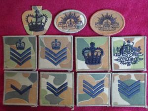 Enlisted ranks Army JELLYBEAN cammo sleeve patches