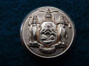 New York State Seal Large Gilt Button