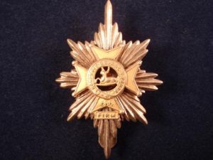 The Worcestershire and Sherwood Foresters Regiment Cap Badge