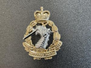 Anodised Royal Australian Army Dental Corps hat badge