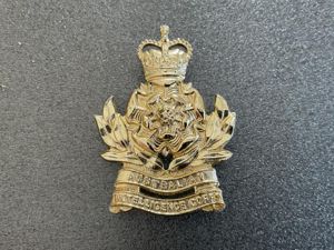 Anodised Australian Intelligence Corps hat badge.
