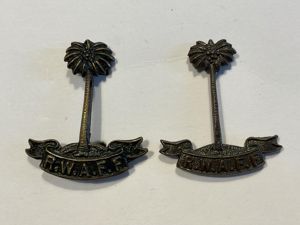 WW2 R.W.A.F.F Officers service dress collar badges