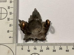 WW1 CEF 36th infantry Battalion collar badge.