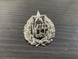 West Punjab Police cap badge