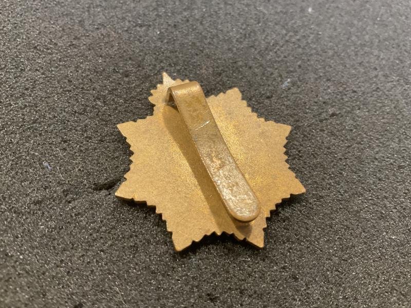 Brass other ranks Guyana Defence Force cap badge — image 2