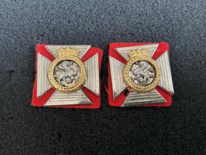 Duke of Edinburghs Royal Regiment collar badges
