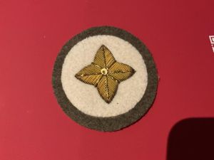 O.TC,or C.C.F or Direct entry qualification badge
