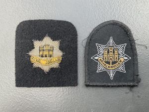 ROYAL ANGLIAN Regt beret badges for officer & ORs