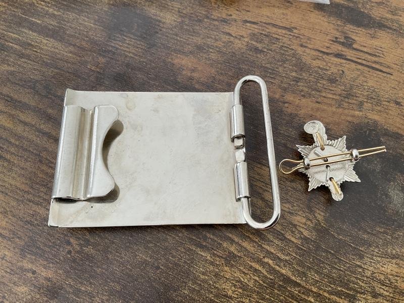 Princess of Wales's Royal Regiment belt plate & collar — image 2