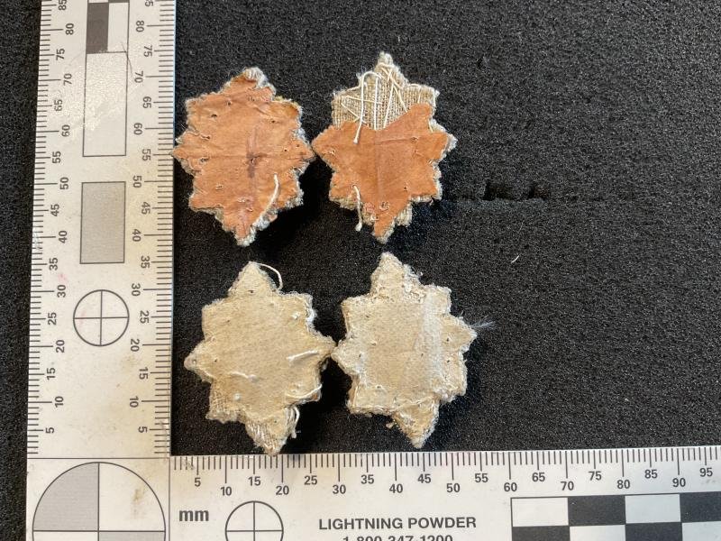 Guards Lieutenants silver bullion full dress rank pips. — image 2