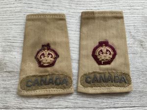 WW2 Italian Theatre made Canadian medical Majors rank slides