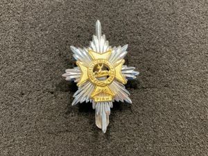 The Worcestershire & Sherwood Foresters b/m cap badge.