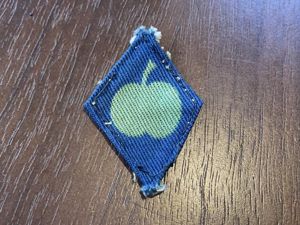 WW2 Northern Command printed formation sign.