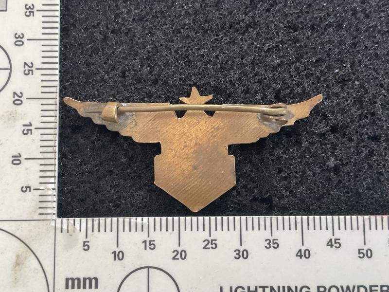 WW2 Free French F.A.F.L ( pre August 1943) breast wing. — image 3