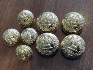Anodised Essex Regiment buttons, large x 4 , medium x …