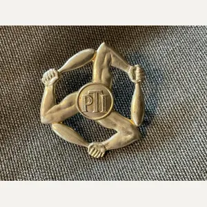 WW2 RAF Physical Training Instructors brass sleeve badge.