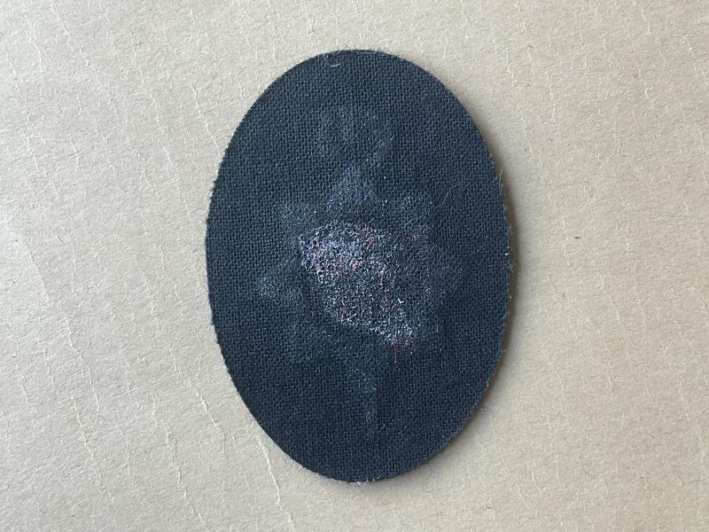 Brighton Hove & Sussex sixth Form College beret badge — image 2