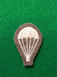PARACHUTE TRAINED ` LIGHT BULB ` BADGE