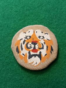 SOUTHERN COMMAND SUPERB EXAMPLE