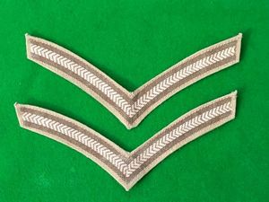 LANCE CORPORALS CHEVERONS / TROPICAL