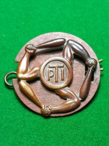 ROYAL AIRFORCE P.T INSTRUCTOR BADGE (SMALL)
