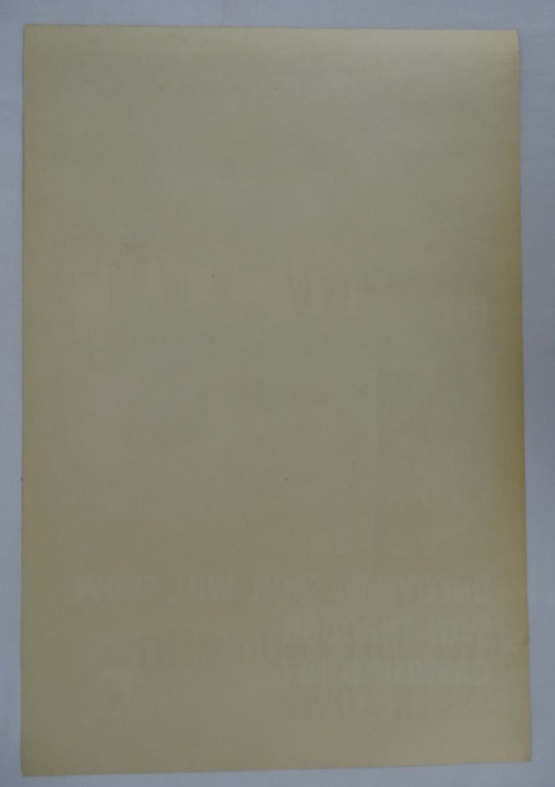 WWII Camouflage Poster: 'Keep Idle Equipment Under Cover' — image 2