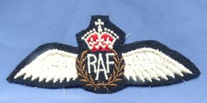 Royal Airforce RAF Pilot's Wings