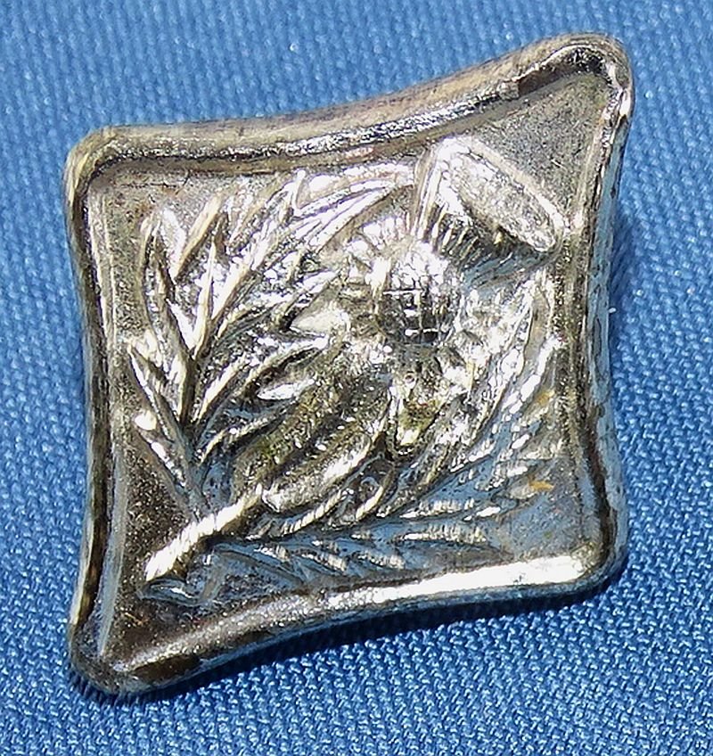 Cased Victorian Era Silver Scottish Thistle Buttons — image 3