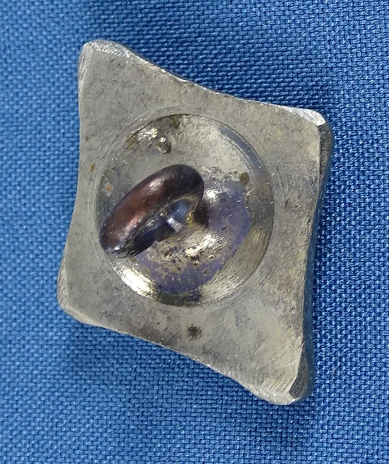 Cased Victorian Era Silver Scottish Thistle Buttons — image 4