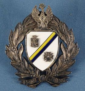 Polish 29th Kaniowski Rifle Regiment Badge