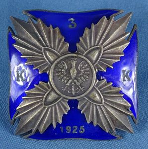 Polish 3rd Cadet Corps Badge