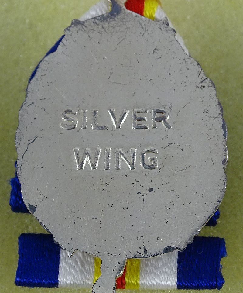 Boxed Philippine Silver Wing Medal — image 2