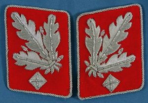 WWII Italian SS Gruppenführer und Generalleutnant der Waffen-SS Collar Tab …