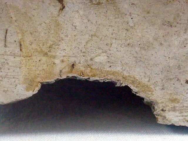 Italian Fascist Fasces for a Building or Railway Car — image 4