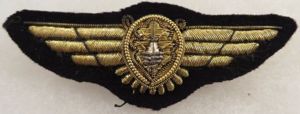 Bullion U.S. Navy Flight Surgeon Wing